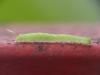 221843 – Photo : Florian ALONSO – France (21)